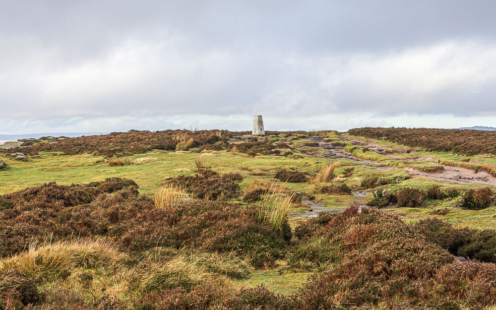 High Neb